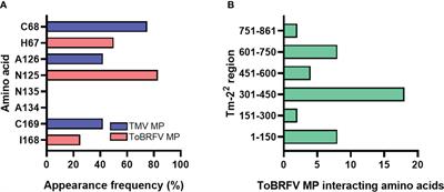 Bioinformatic-based approach for mutagenesis of plant immune Tm-22 receptor to confer resistance against tomato brown rugose fruit virus (ToBRFV)